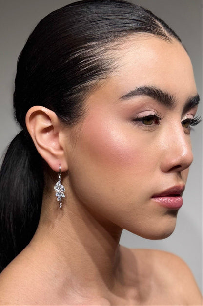 ARETES COLGANTES PLATEADOS CON CRISTALES SILVANA